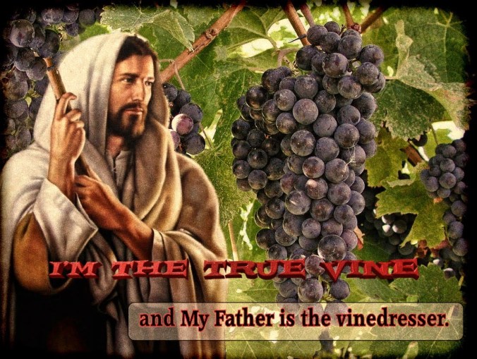 true vine